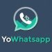 Yowhatsapp APK